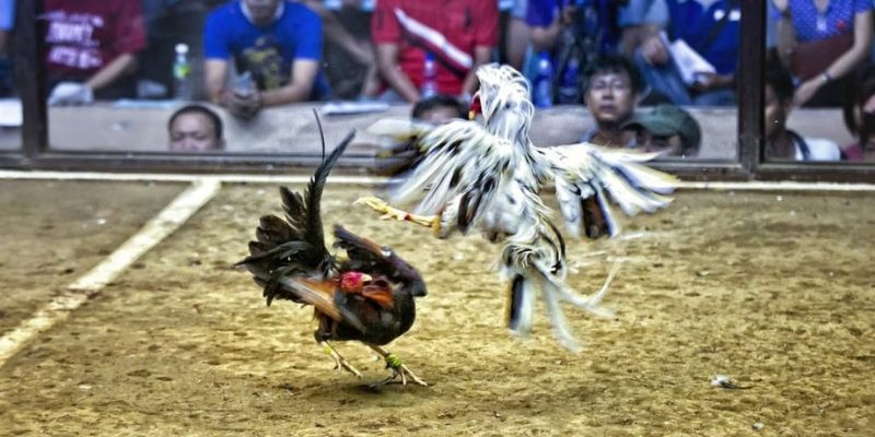 video game ﻿đăng nhập lô đề uy tín