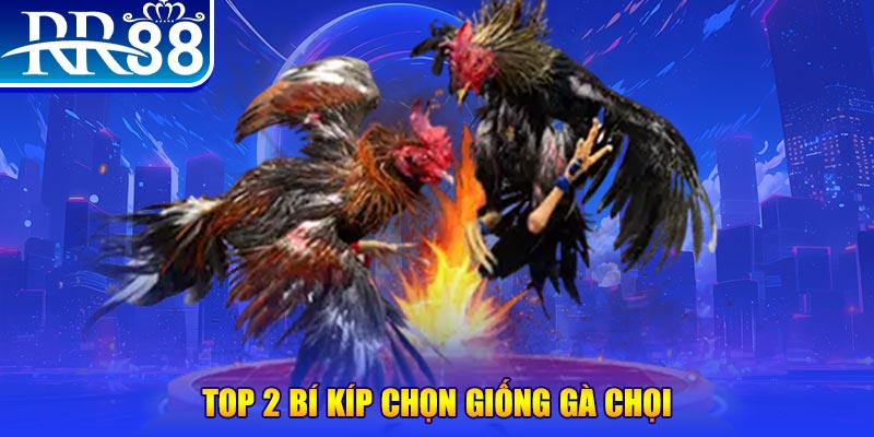 video game bắn cá h5