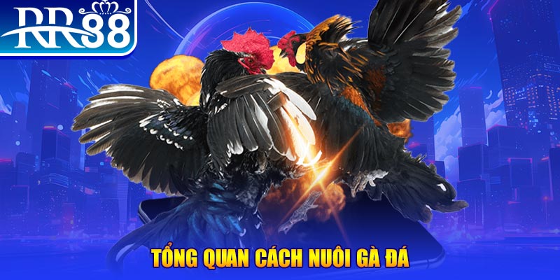 video game xổ số thứ ba