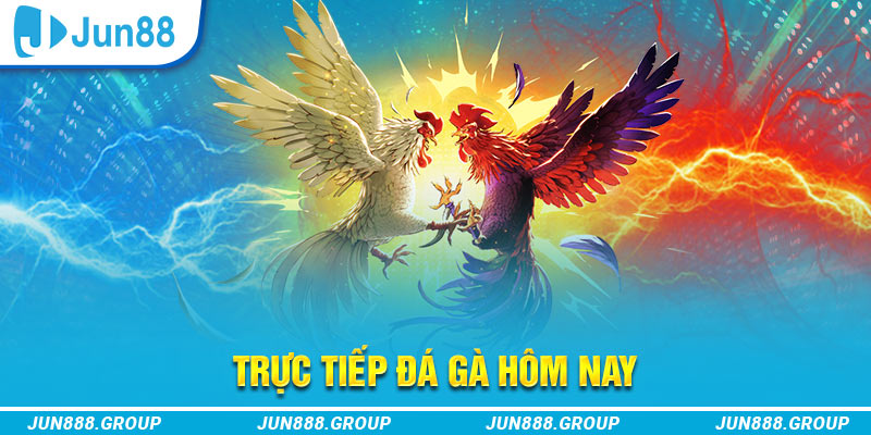 trực tiếp đá gà thomo