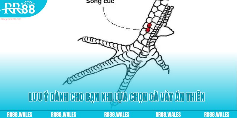 video game xổ số khánh hòa