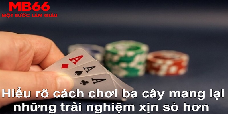 DB Trực Tuyến